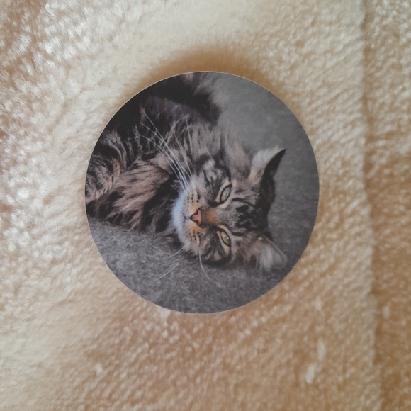 Cat Sticker Bundle - Picture 2 of 3